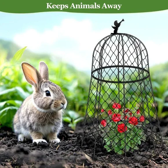 Garden Cloches for Plants, Plant Protectors from Animals, Rustproof Chicken Wire - Picture 7 of 7